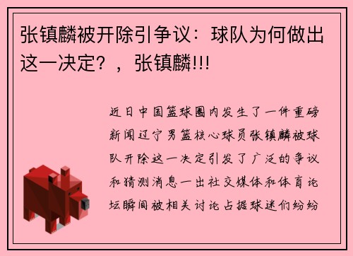 张镇麟被开除引争议:球队为何做出这一决定?,张镇麟!!!