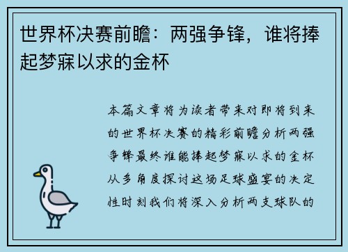 世界杯决赛前瞻:两强争锋,谁将捧起梦寐以求的金杯