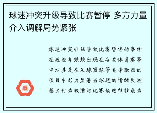 球迷冲突升级导致比赛暂停 多方力量介入调解局势紧张